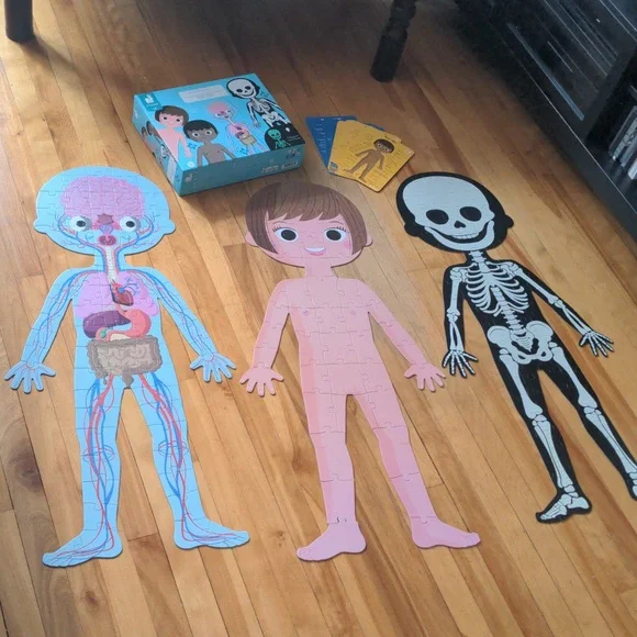 Janod 4 in 1 Puzzle Human Body Age 5+ Skeleton Glow In The Dark, Organs - Picture 3 of 15